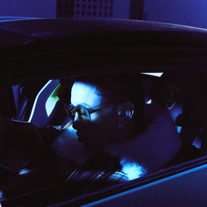 人野兽马狗猪大全小说
