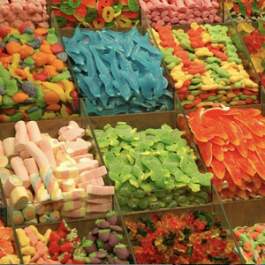 人野兽马狗猪大全小说
