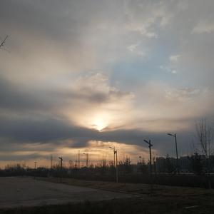 人野兽马狗猪大全小说
