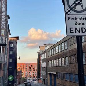 人野兽马狗猪大全小说
