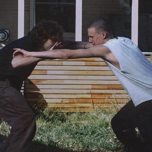 人野兽马狗猪大全小说
